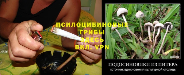 эйфоретик Абинск